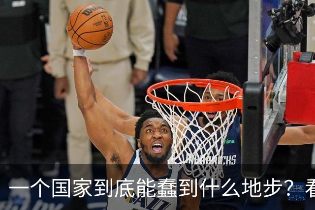 一个国家到底能蠢到什么地步？看看瑞典你就知道了，三十年前，瑞典的人均GDP高达3.2万美元，可以夜不闭户，如今到处都是难民