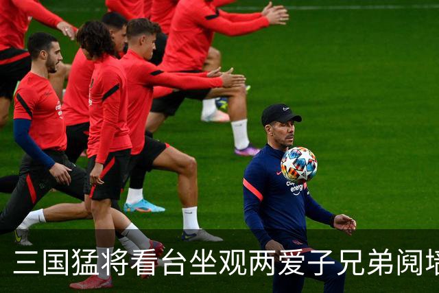 三国猛将看台坐观两爱子兄弟阋墙 弟弟更比哥哥强？