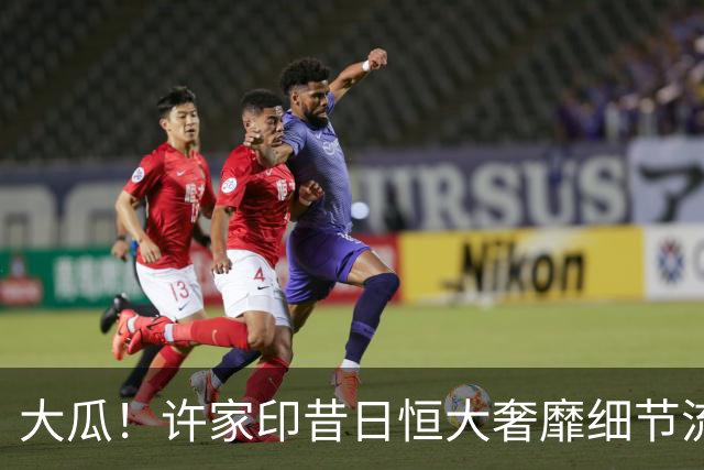 大瓜！许家印昔日恒大奢靡细节流出，丁玉梅海外包养30岁白人小伙