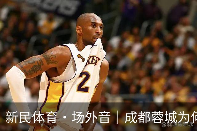 新民体育·场外音｜成都蓉城为何快成“笑话”了？